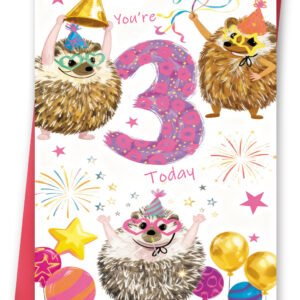 3 Year Old Birthday Card for Girls Her, 3rd Birthday Card for Daughter Granddaughter Niece, Hedgehog Bday Decoration Ides