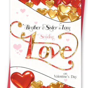 Funny Valentines Day Card for Brother and Sister in Law, Sweet Brother and Sister in Law Valentines Day Gitts tor Him Her